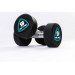 Гантели в уретане 4 кг Live Pro Studio Dumbbells LP8075-04 75_75