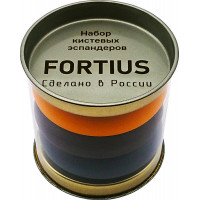 Набор кистевых эспандеров Fortius 3шт. (40, 50, 60 кг), тубус H180701-405060SETТ