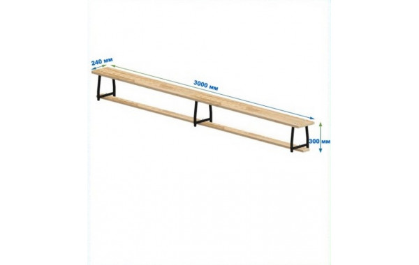Скамейка гимнастическая 3000мм (щит.сосна) ножки метал Dinamika 600_380
