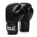 Перчатки тренировочные Everlast Spark 10oz черн/гео. 120_120